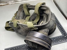 Charger l'image dans la galerie, Image #6
