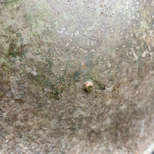 Load image into Gallery viewer, Image #10
