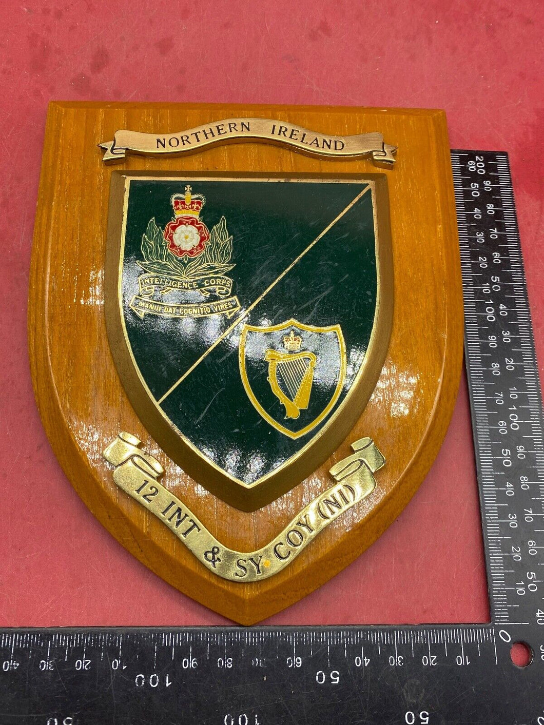 Original British Army Northern Ireland 12 Inst & St Coy (NI) Wall Plaque