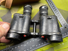 Charger l'image dans la galerie, Image #9
