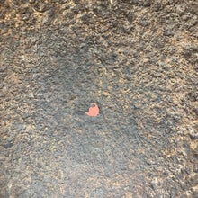 Charger l'image dans la galerie, Image #13
