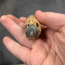 Load image into Gallery viewer, Image #5
