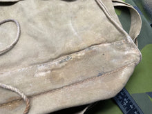 Charger l'image dans la galerie, Image #2
