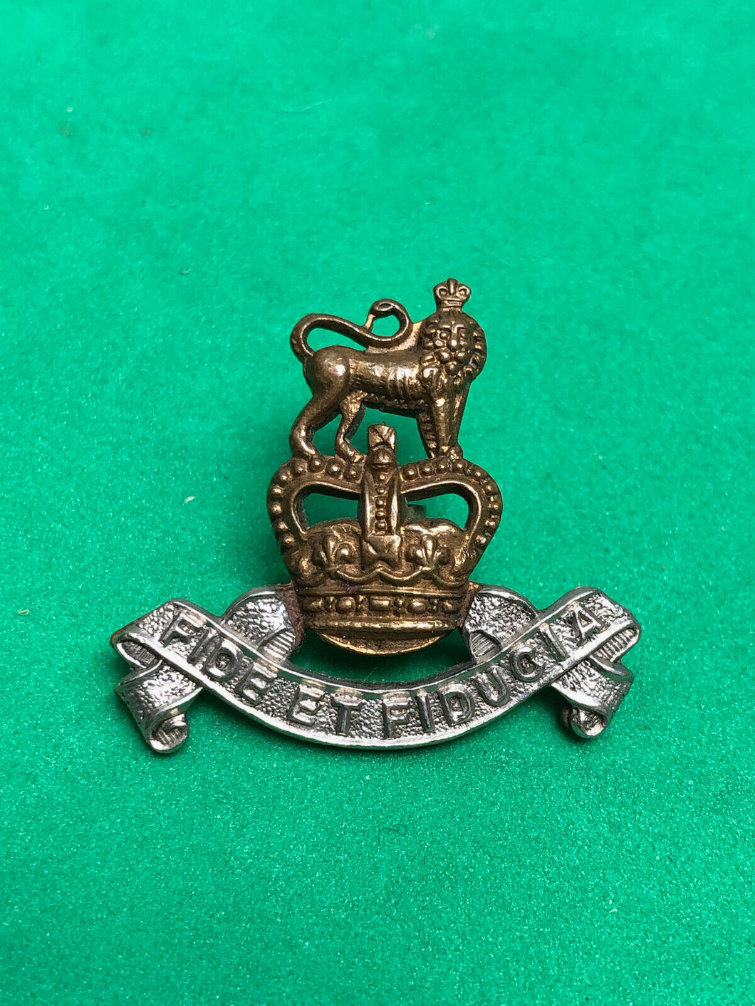 Genuine British Army Royal Army Pay Corps Queen's Crown Collar Badge