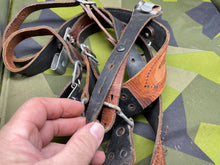 Charger l'image dans la galerie, Image #11
