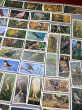 Lade das Bild in den Galerie-Viewer, A Group of Craven Cigarette Cards - British Birds
