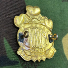 Original British Army Cap Badge - Princess of Wales' Own Regiment - The Militaria Shop