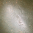 Image #12