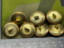 Load image into Gallery viewer, Image #3
