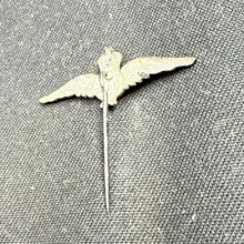 Charger l'image dans la galerie, Image #5
