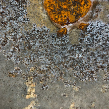Load image into Gallery viewer, Image #13
