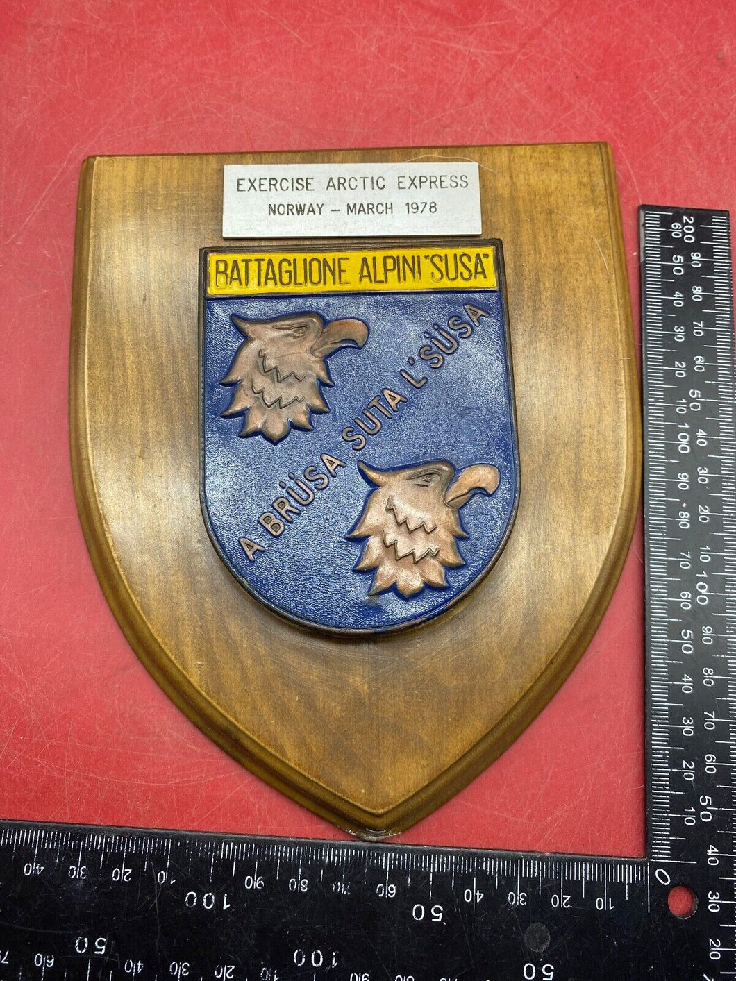 Original Gruppo Alpini La Secchia Coro Modena Plaque - Excercise Arctic Express