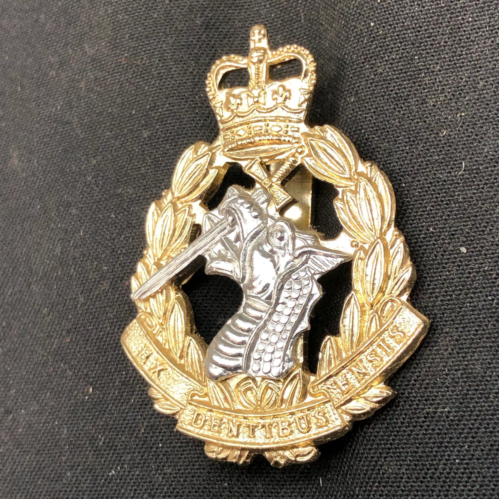 Genuine British Army Cap Badge - Royal Army Dental Corps - The Militaria Shop
