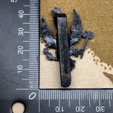 Charger l'image dans la galerie, Image #4
