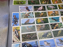 Lade das Bild in den Galerie-Viewer, A Group of Craven Cigarette Cards - British Birds
