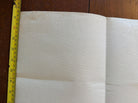 Image #11