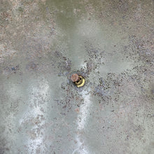 Load image into Gallery viewer, Image #12
