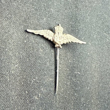 Charger l'image dans la galerie, Image #3
