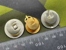 Charger l'image dans la galerie, Image #2
