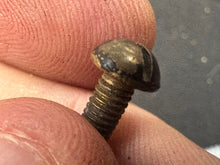 Load image into Gallery viewer, Image #4
