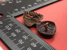 Load image into Gallery viewer, Original WW1 British Army 21st Essex Fusiliers Collar Badge
