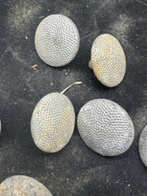 Charger l'image dans la galerie, Image #3
