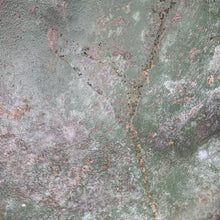 Load image into Gallery viewer, Image #17
