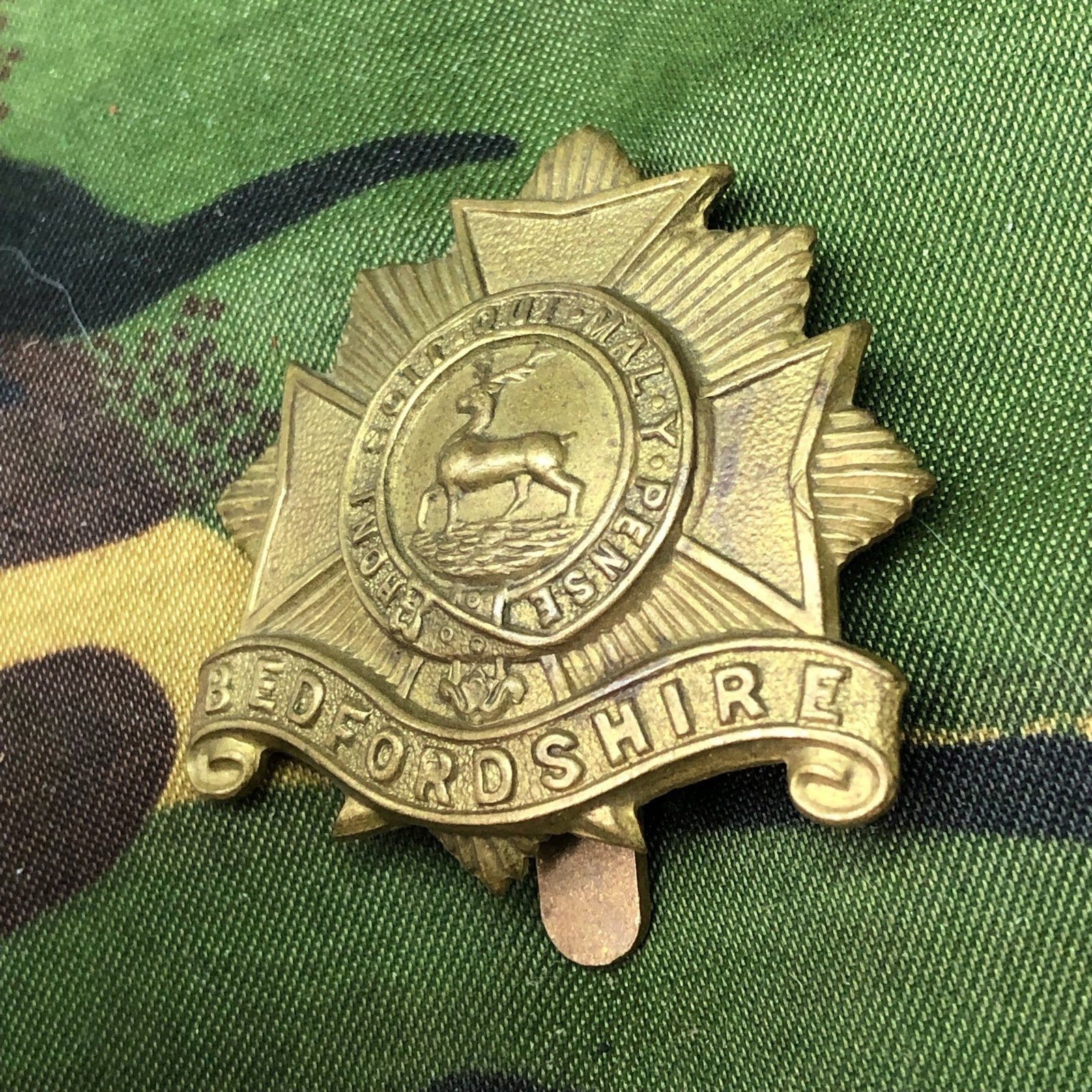 Original WW2 British Cap Badge - Bedfordshire Regiment - The Militaria Shop