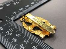 Load image into Gallery viewer, Genuine British Army Queen Alexandra&#39;s Royal Army Nursing Corps Cap Badge
