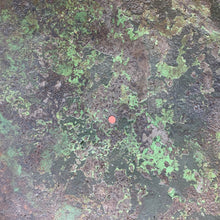 Load image into Gallery viewer, Image #15
