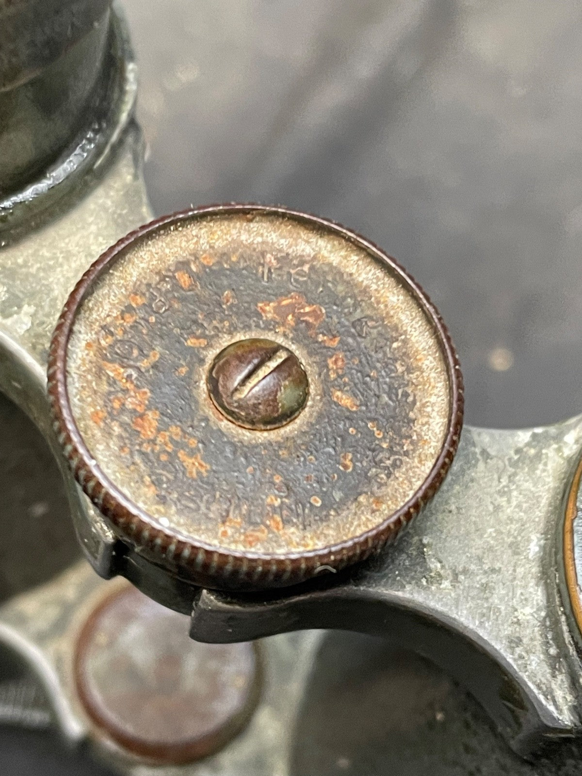 Image #21