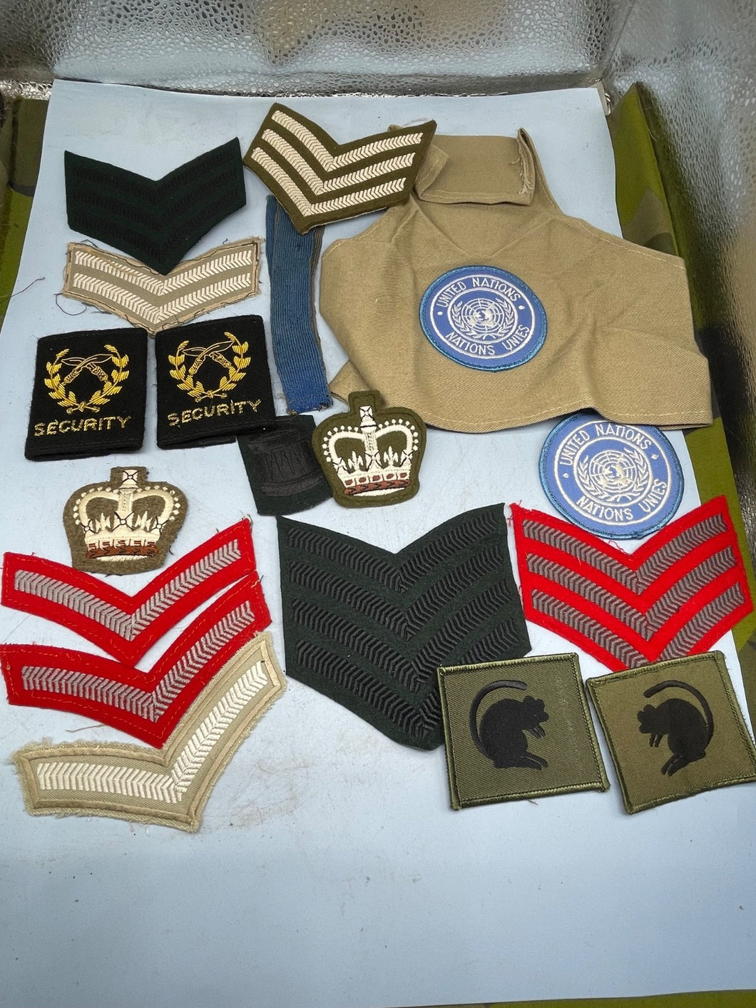Image #1