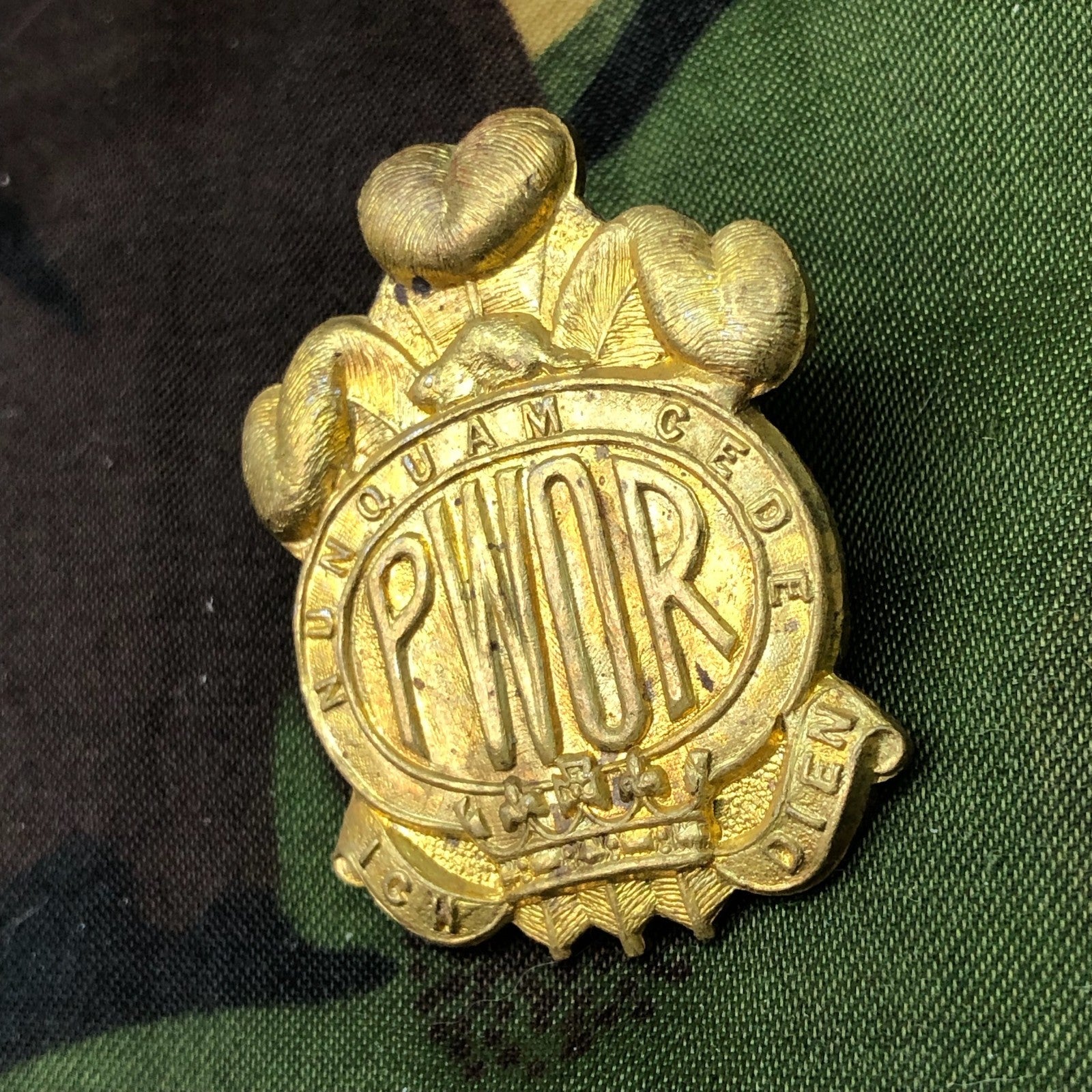 Original British Army Cap Badge - Princess of Wales' Own Regiment - The Militaria Shop