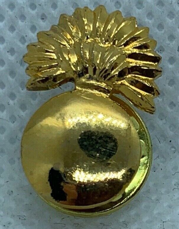 Mixed Listing of British Army Military Cap / Tie / Lapel Pin Badges - Code #166 - The Militaria Shop