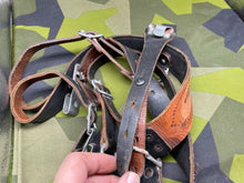 Charger l'image dans la galerie, Image #12
