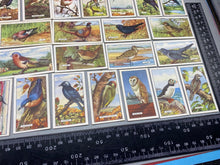 Load image into Gallery viewer, A Group of Gallagher Ltd Cigarette Cards - British Birds
