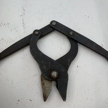 Charger l'image dans la galerie, Image #7
