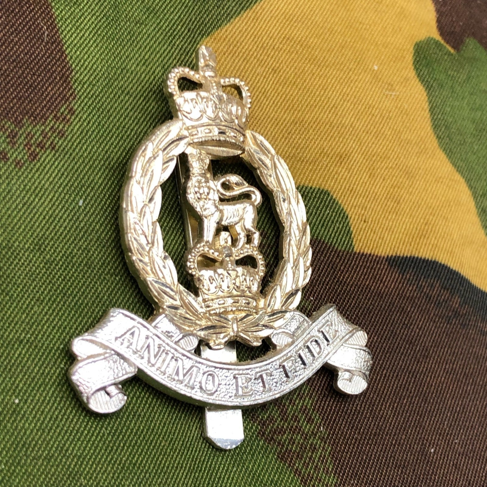 Original British Staybrite Army Cap Badge - Adjutant General's Corps - The Militaria Shop