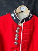 Charger l'image dans la galerie, Image #4
