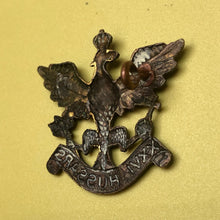 Charger l'image dans la galerie, Image #4
