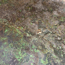 Load image into Gallery viewer, Image #18
