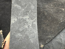 Load image into Gallery viewer, Image #9
