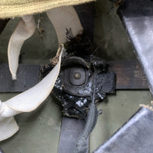 Charger l'image dans la galerie, Image #15
