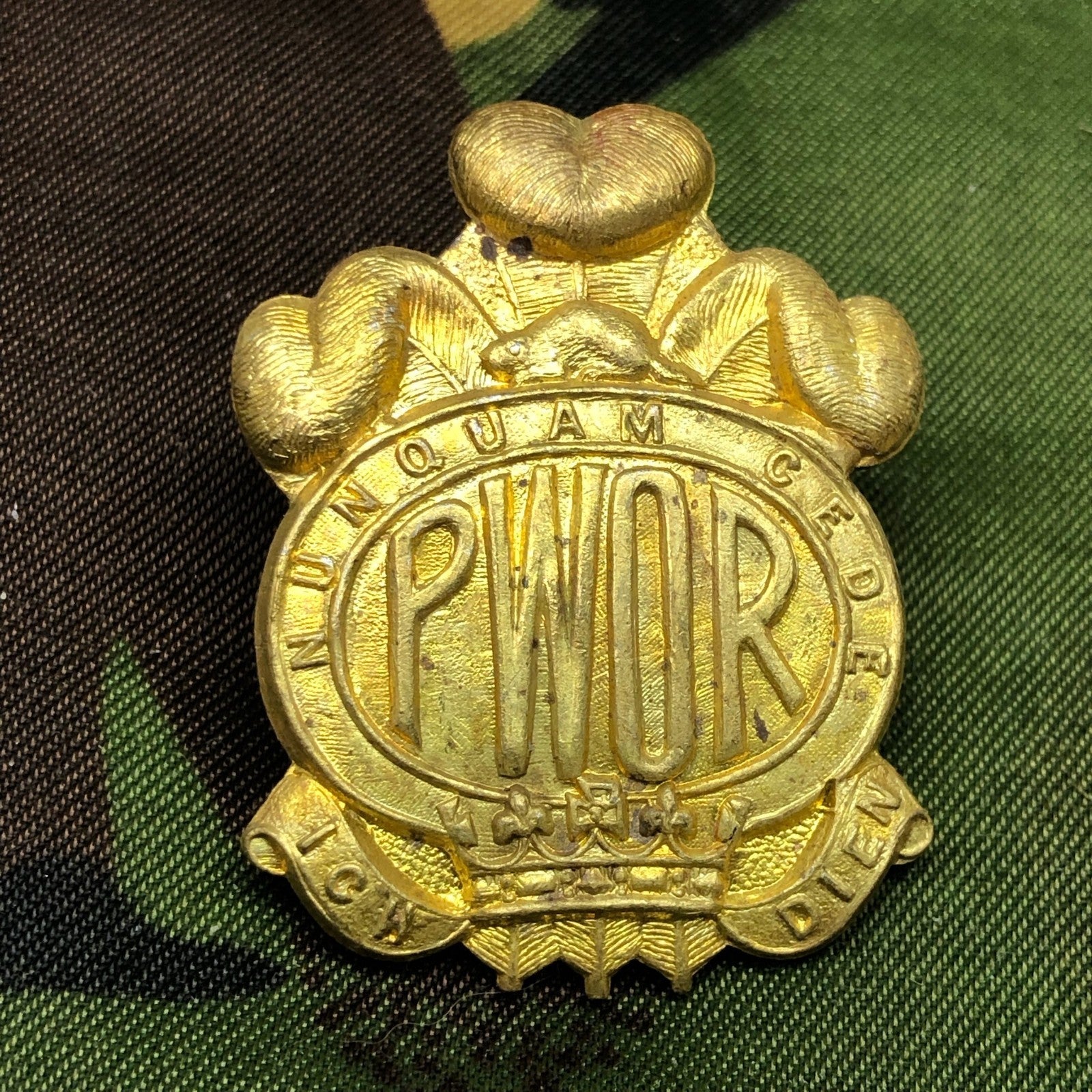 Original British Army Cap Badge - Princess of Wales' Own Regiment - The Militaria Shop