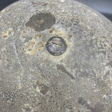 Load image into Gallery viewer, Image #8
