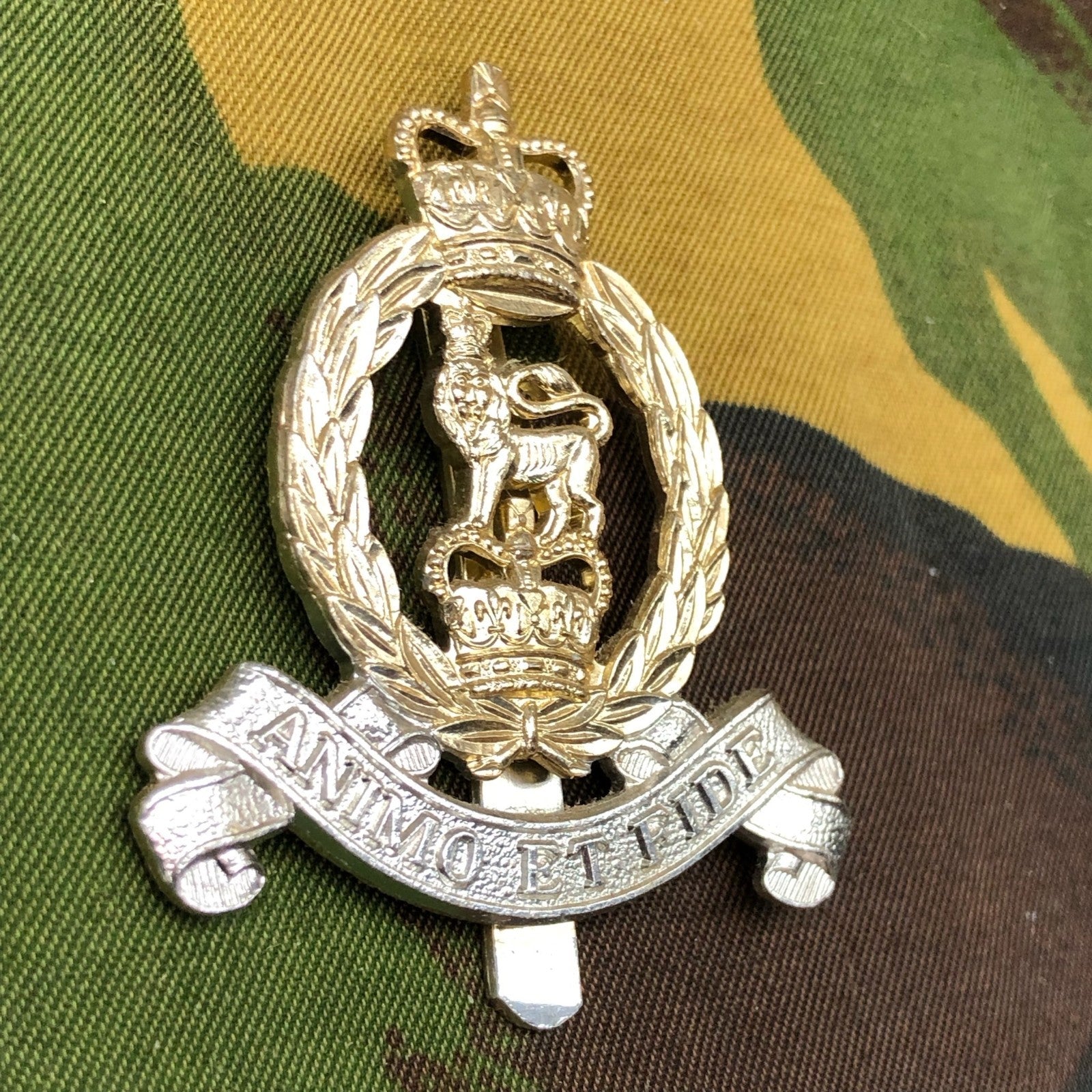 Original British Staybrite Army Cap Badge - Adjutant General's Corps - The Militaria Shop