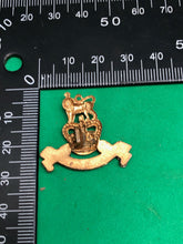 Load image into Gallery viewer, Genuine British Army Royal Army Pay Corps Queen&#39;s Crown Collar Badge
