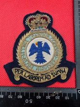 Load image into Gallery viewer, British RAF Royal Air Force Training Command Bullion Embroidered Blazer Badge
