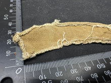 Charger l'image dans la galerie, Image #6
