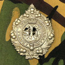 Charger l'image dans la galerie, Image #1
